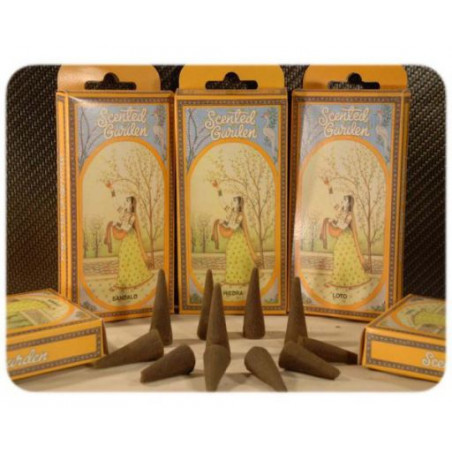 Conos incienso natural r/s