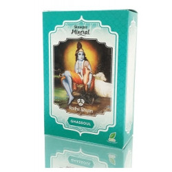 Gassoul champu mineral r/s