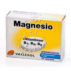 Magnesio+b1+b2+b6 eferv.valles