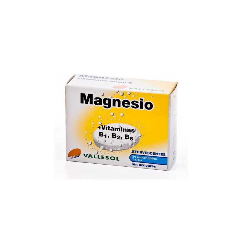 Magnesio+b1+b2+b6 eferv.valles