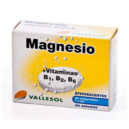 Magnesio+b1+b2+b6 eferv.valles