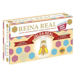 Reina real junior amp. robi
