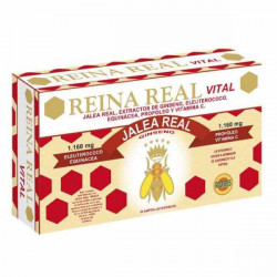 Reina real vital 30amp. robis