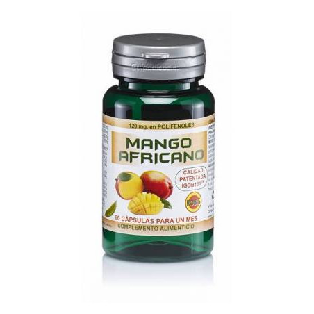 Mango africano 60caps robis